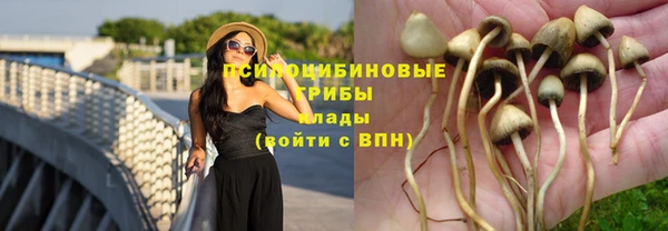 соль курить ск Карталы