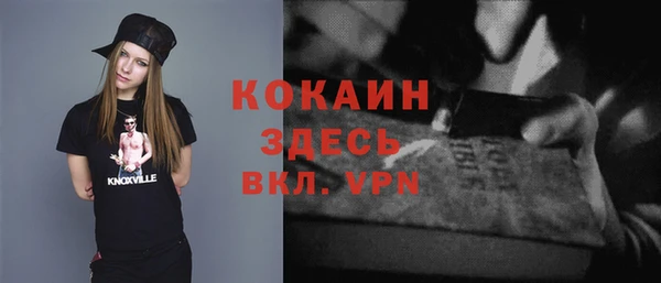 твердый Касимов