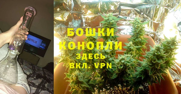 твердый Касимов