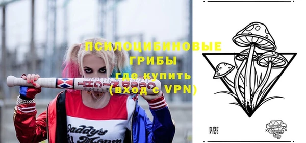 твердый Касимов