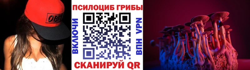 Псилоцибиновые грибы Psilocybine cubensis  Купить закладки  Арзамас 